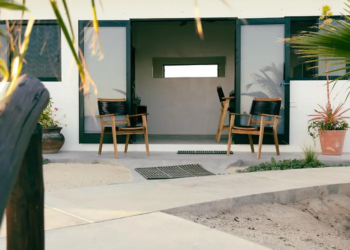 Liebre Matrera Hotel San José del Cabo