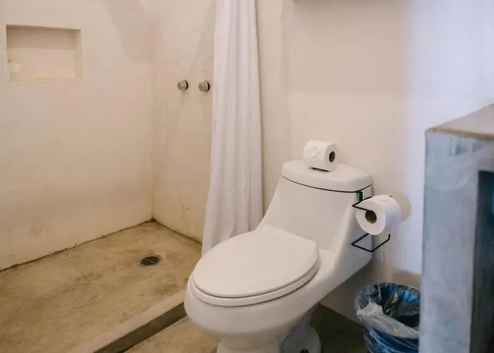 Liebre Matrera 3* San José del Cabo