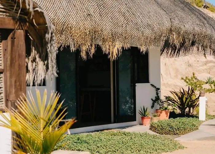 Liebre Matrera Hotel San José del Cabo