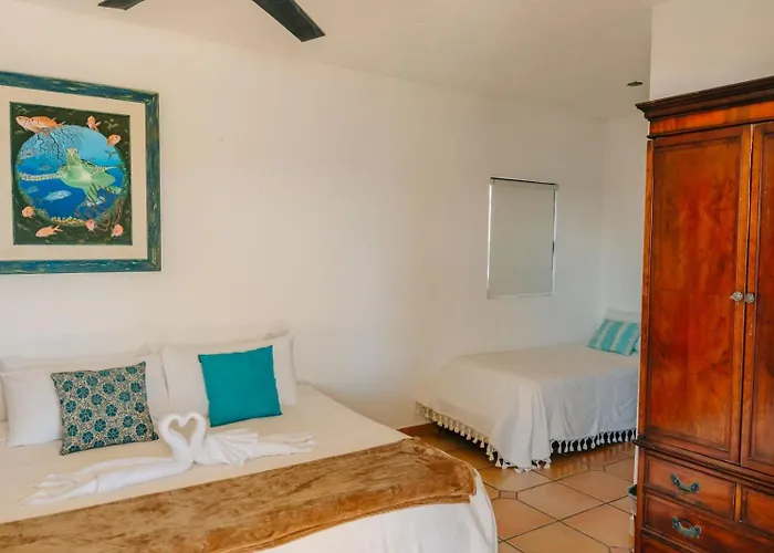 Hotel Liebre Matrera San José del Cabo