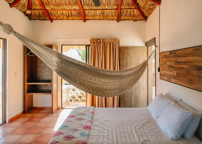 Liebre Matrera 3* San José del Cabo