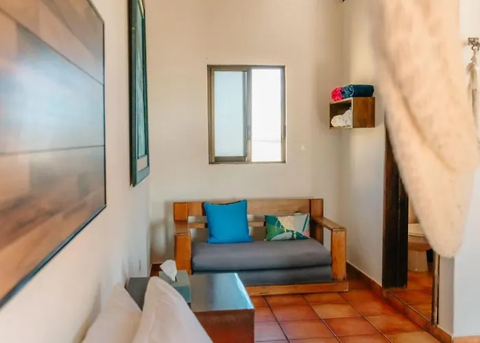 Liebre Matrera
