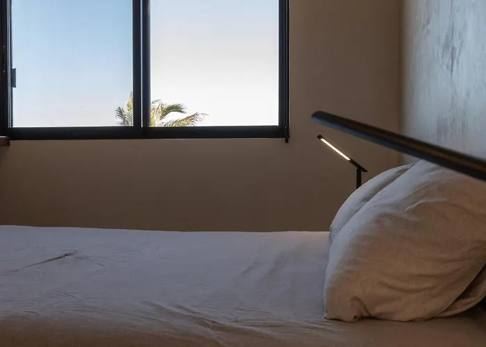 Liebre Matrera Hotel San José del Cabo