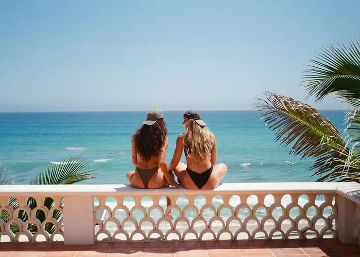 Liebre Matrera San José del Cabo
