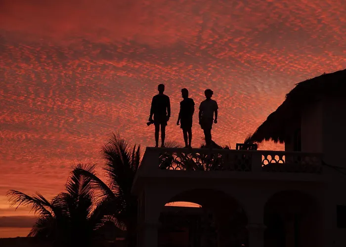 Hotel Liebre Matrera San José del Cabo
