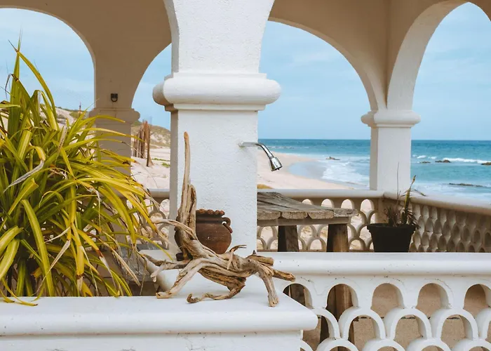 Liebre Matrera 3* San José del Cabo
