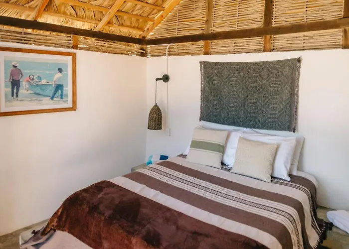 Hotel Liebre Matrera San José del Cabo