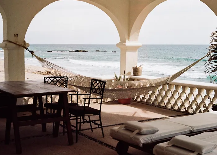 Liebre Matrera San José del Cabo