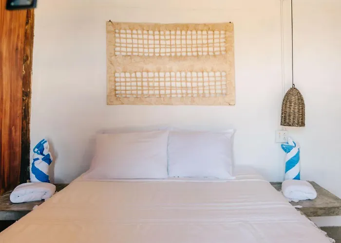 Liebre Matrera 3* San José del Cabo